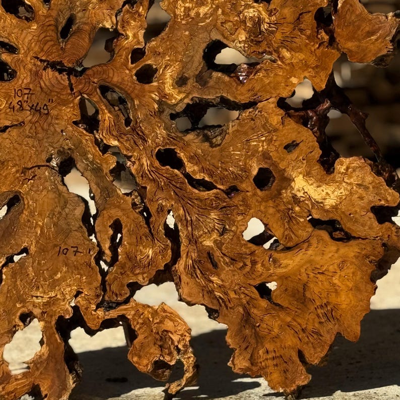 May include: Close-up of a large, irregularly shaped piece of wood with a rich, warm brown color. The wood has a unique, organic pattern with numerous holes and intricate grain details. The text "107" and "48 x 49" are visible.