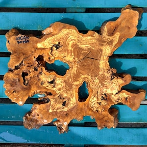 24&quot; Olivenwurzelscheiben Echtholz Maserholz 60 cm Abgeflacht, Geschliffen, für Epoxidharz Tisch, Wandbehang