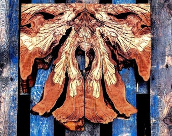 Olive Wood Bookmatched Twin Burl Monsters ( 2 pieces )