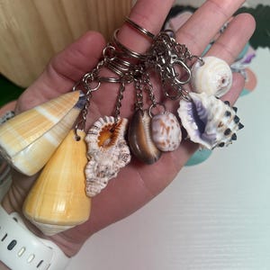 Seashell Keychains