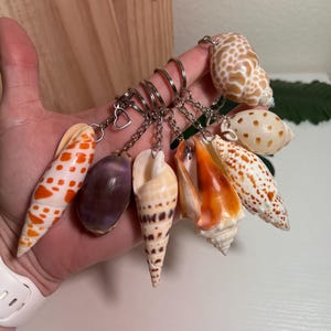 Seashell Keychains