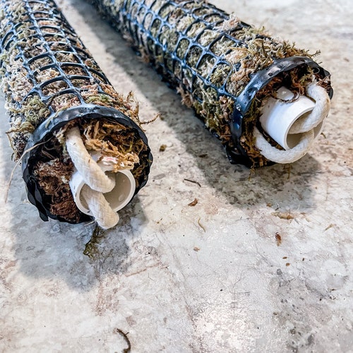 Self Watering Moss Pole Etsy