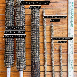 May include: A selection of plant supports: 18-inch base poles, 21-inch stackable moss poles, and moss sticks of 25.4 cm to 45.7 cm. The poles are covered in moss and enclosed in a black mesh.