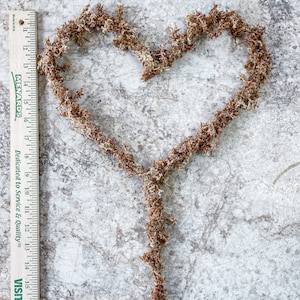 MOSS TRELLIS (heart,oval,circle, diamond)