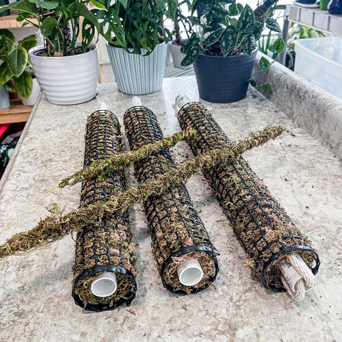 Self Watering Moss Pole Etsy