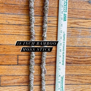18&quot; Bamboo Moss Stick