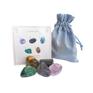 Steenbok Zodiac Birthstone Crystal Pack - Amethist Zwarte Toermalijn Fluoriet Malachiet Tijgeroog - Verzonden in Geschenkdoos met InfoKaart
