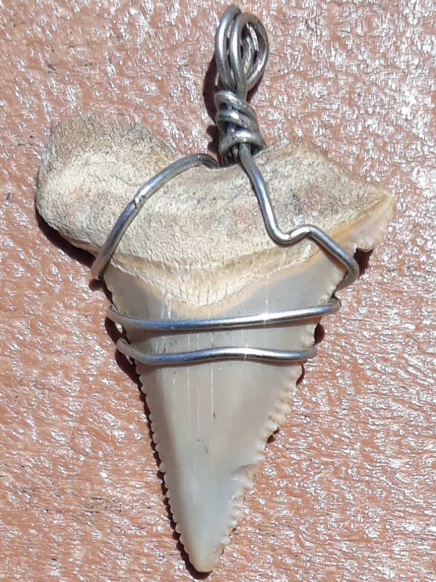 Copper wire wrapped shark tooth Etsy