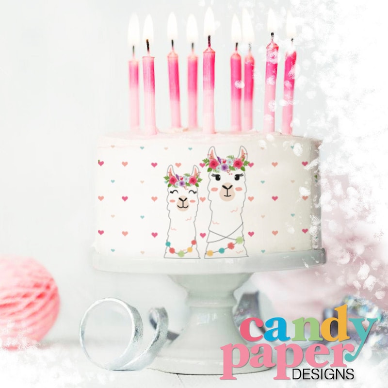 Whole Llama Fun Cupcake Toppers - 24-Pack Clear Treat Picks For Baby Showers, Birthdays & Parties