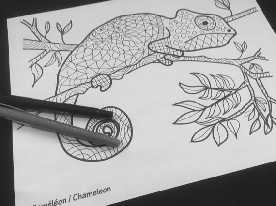 Chameleon Mandalas Coloring Animals Drawings Etsy