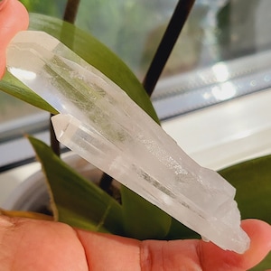 May include: A clear quartz crystal point with a natural, raw edge. The crystal is held in a hand against a green leafy background.