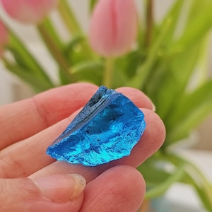 Dolphin Love Andara: guardián de la luz de la verdad divina, la sabiduría divina y el amor divino.