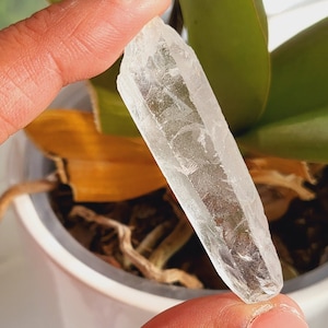 Puede incluir: Un punto de cristal de cuarzo claro, también conocido como cristal de roca, se sostiene en una mano. El cristal es largo y delgado con una punta puntiaguda. El cristal es translúcido y tiene un ligero brillo.