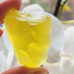 Puede incluir: Un trozo de vidrio de mar amarillo translúcido, de forma irregular, sostenido en una mano sobre un fondo de flores de orquídea blancas.