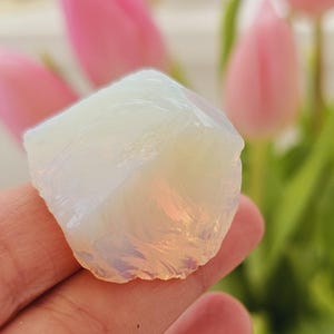 New Earth Gaias Sternenlicht Andara - Lichthüter der göttlichen Wahrheit, Weisheit und Liebe