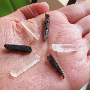 Puede incluir: Cinco puntas de cristal, dos son de cuarzo transparente y tres son de cuarzo ahumado. Los cristales están dispuestos en una mano.