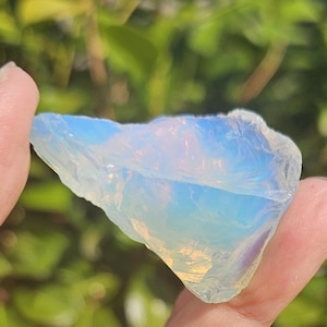 Puede incluir: Una piedra de ópalo clara e iridiscente con un esquema de color azul y blanco. La piedra se sostiene en una mano contra un fondo borroso de follaje verde.