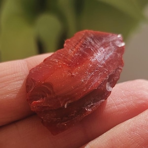 Chamán de la tierra Andara: guardián de la luz de la verdad divina, la sabiduría divina y el amor divino.