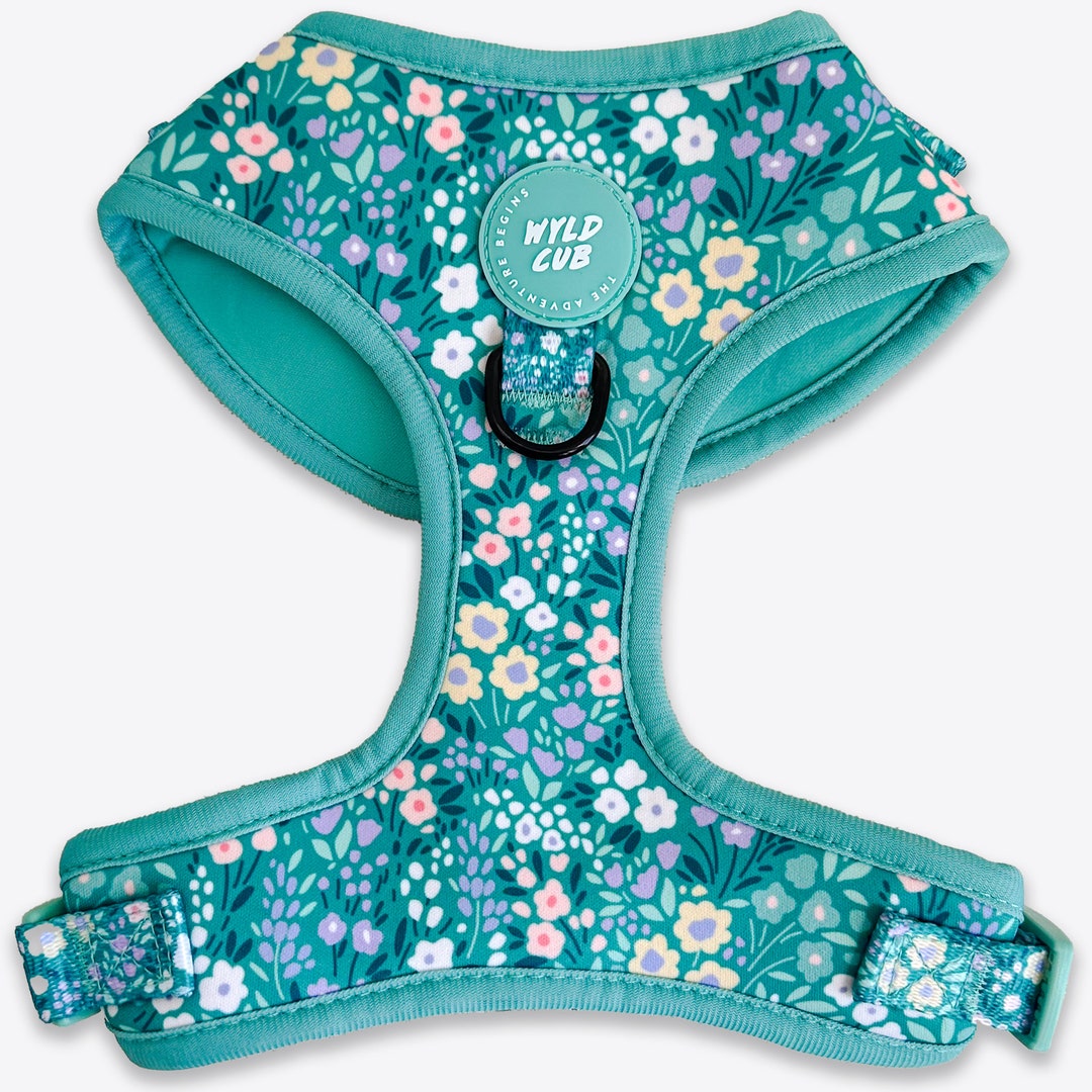 Adjustable Dog Harness in Floral Mint Green Blue for Extra Small Puppy