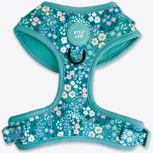 Adjustable Dog Harness in Floral Mint Green Blue for Extra Small Puppy to Medium and Large Breeds Comfortable Stylish