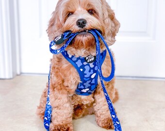 blue camo dog harness