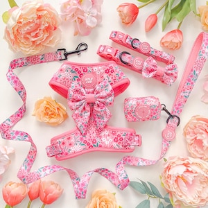 Adjustable Dog Harness for Extra Small Puppies to Large Dogs | Comfortable, Stylish | Pink, Girl, Floral | Notting Hill Rose by Wyld Cub