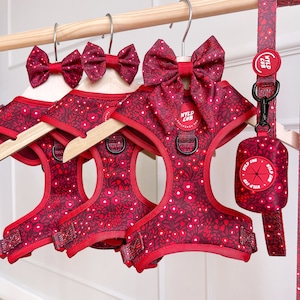 Könnte beinhalten: Drei rote Hundegeschirre mit Blumenmustern und passenden roten Schleifen. Die Geschirre haben verstellbare Gurte und einen Clipverschluss. Die Schleifen sind mit einem Klettverschluss an den Geschirren befestigt. Die Geschirre hängen an Holzbügeln. Der Text "NYLD CUB" ist auf den Geschirren aufgedruckt.