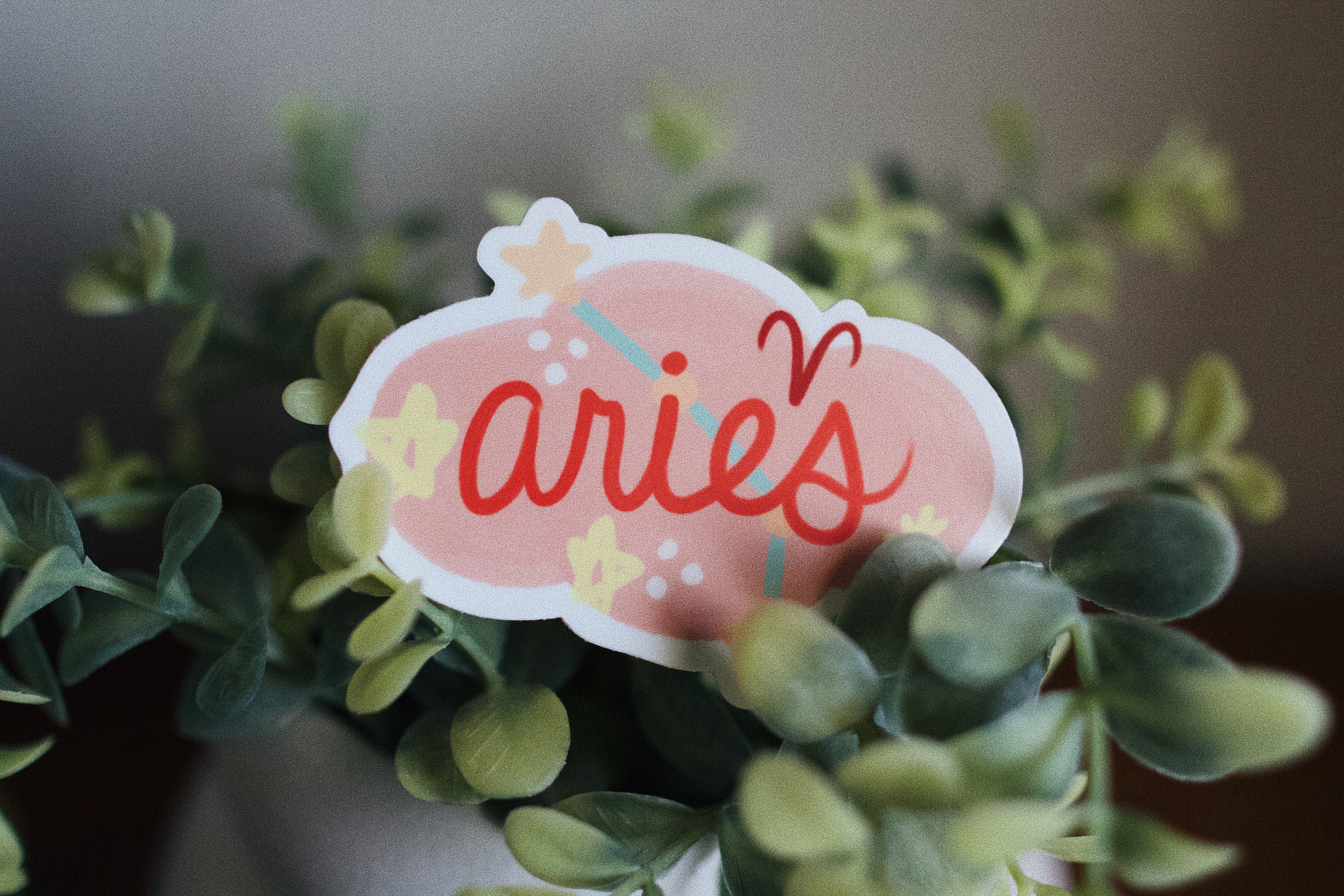 Aries Zodiac Sticker: Waterproof Vinyl Decal, Astrology Gift - Etsy