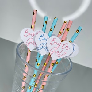 Boy or Girl? Party Straws, Gender Reveal, Baby Shower, Party Supplies