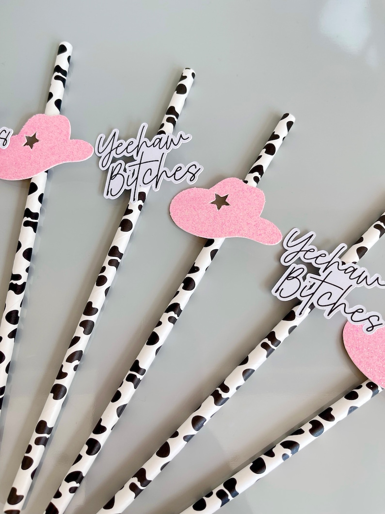 Yeehaw Bitches Cowgirl Hat Mix Straws, Hen Party Straws, Hoe Down Theme, Let’s Go Girls image 1