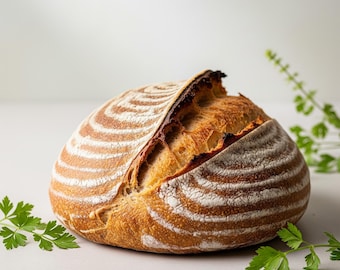 100+ Year-Old Organic Sourdough Starter – Paris or Tuscany with free 179-Year-Old Oregon Trail (Dehydrated)