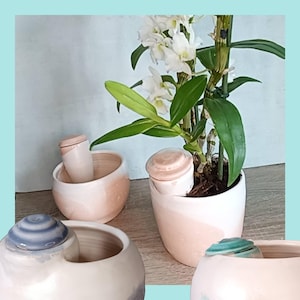 Pot et Oya pour plante d'intérieur, création artisanale et unique. Cadeau parfait pour les amoureux des plantes.