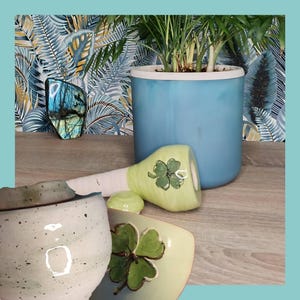 Pode incluir: Um vaso de cerâmica azul claro com uma borda branca contém uma planta verde. Uma peça de cerâmica verde e branca com um desenho de trevo de quatro folhas está ao lado de duas xícaras de cerâmica. O texto "Les Demains dans la Terre" está no topo.