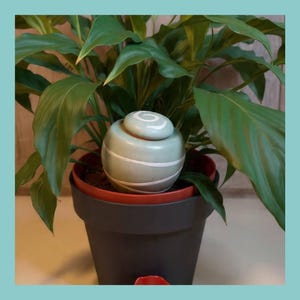 Oya, sistema di irrigazione automatico e naturale per piante da interno. Un piccolo regalo artigianale, ideale per gli amanti delle piante.