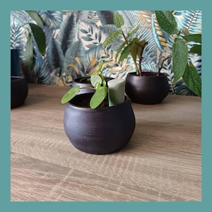 Pot cache-pot jardinière plante