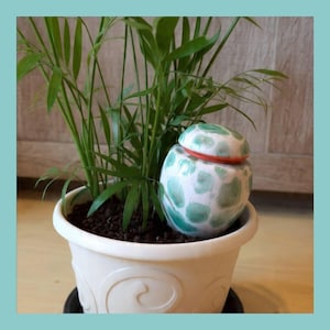 Oya, arrosage naturel automatique pour plantes d'intérieur. Petit cadeau artisanal idéal pour les amoureux des plantes