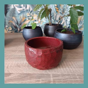 vaso de plantas, floreira, cachepô