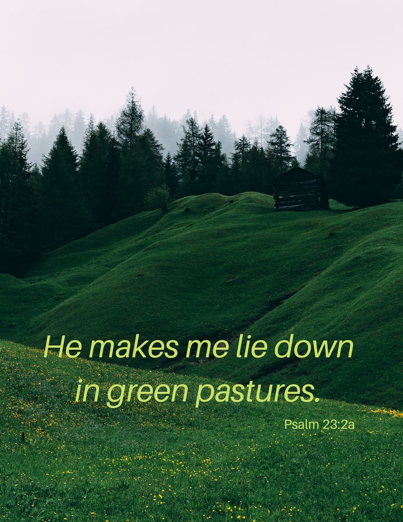 May include: A green grassy hill with a small wooden cabin in the background. The text "He makes me lie down in green pastures. Psalm 23:2a" is written on the hill.