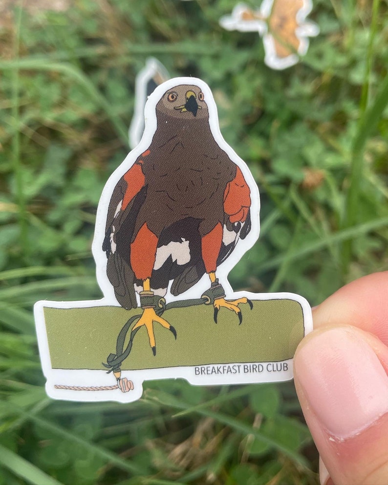 Harris Hawk vinyl sticker image 1