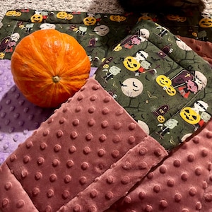 Peut inclure: Une citrouille orange est posée sur un lit pour animaux de compagnie violet et mauve. Les lits ont une surface texturée et pointillée. Un lit sur le thème d'Halloween avec un fond vert et des illustrations effrayantes est également visible.