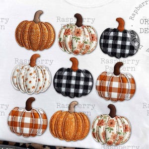 Peut inclure: T-shirt blanc avec neuf motifs de citrouilles aux motifs et couleurs variés, dont orange, floral et carreaux noirs et blancs. Le t-shirt porte l'inscription "Raspberry Pattern Co".