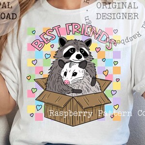 May include: A white t-shirt with a graphic of a raccoon and a possum in a box with the text "Best Friends" and a rainbow checkered background. The text "Raspberry Pattern Co." is also on the shirt.