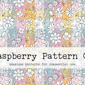 Ditsy Daisy 花柄レインボーチェック柄シームレスパターン ボヘミアン 商業用、花柄シームレスパターン、デイジーシームレス