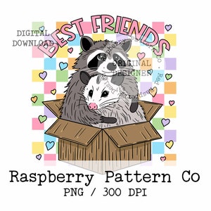 May include: A raccoon and opossum are best friends, hugging inside a cardboard box. The box is on a colorful background with hearts. The text "Best Friends" is above the box in pink letters.