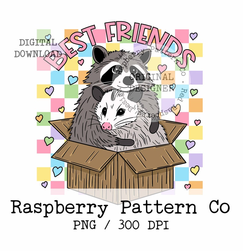 May include: A raccoon and opossum are best friends, hugging inside a cardboard box. The box is on a colorful background with hearts. The text "Best Friends" is above the box in pink letters.