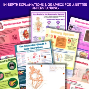 Puede incluir: Una colección de carteles educativos de anatomía y fisiología. Los carteles cubren temas como el sistema cardiovascular, el sistema linfático y el sistema urinario. El cartel central se titula "Anatomía y Fisiología Simplificada".