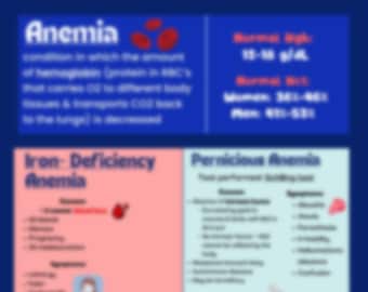 Anemia Cheatsheet | 1 page