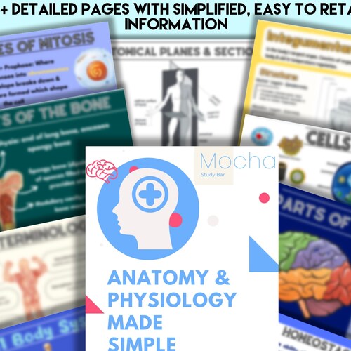 Anatomy & Physiology Study Kit Part 1 Worksheets Etsy
