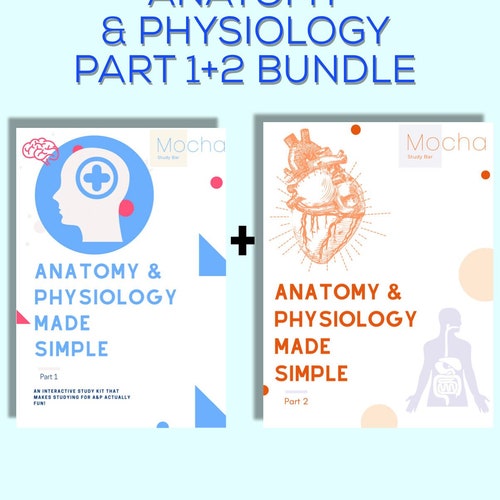 Bundle Anatomy & Physiology Part 1 and 2 Bundle - Etsy