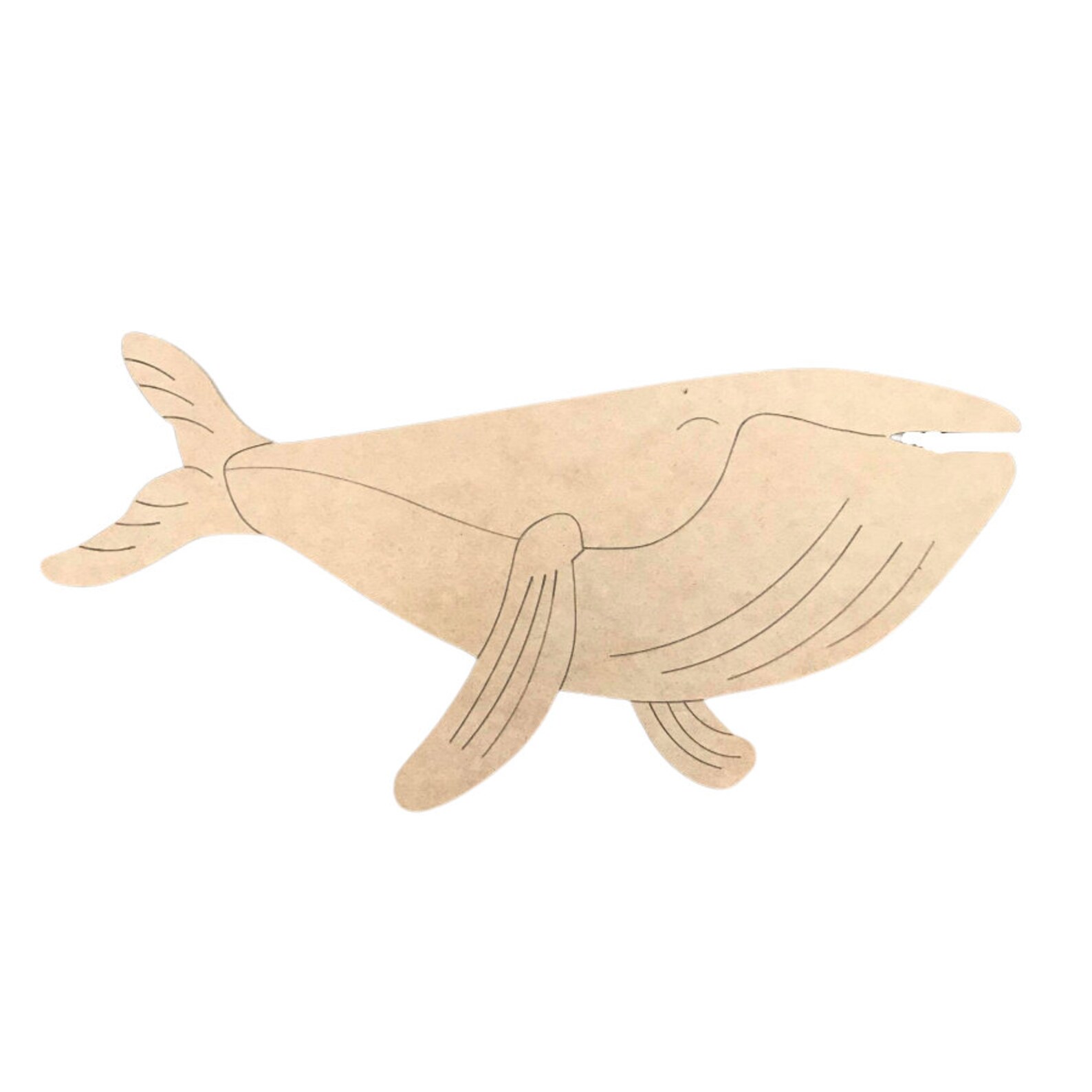 Whale With Guide Lines Cutout Huge Ocean Mammal Blue Whale - Etsy.de